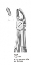  Fig. 39R upper molars right for children 